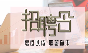 服务商户，致力发展&mdash;安徽分公司岳阳滨湖店携手优质商户人才招聘会 